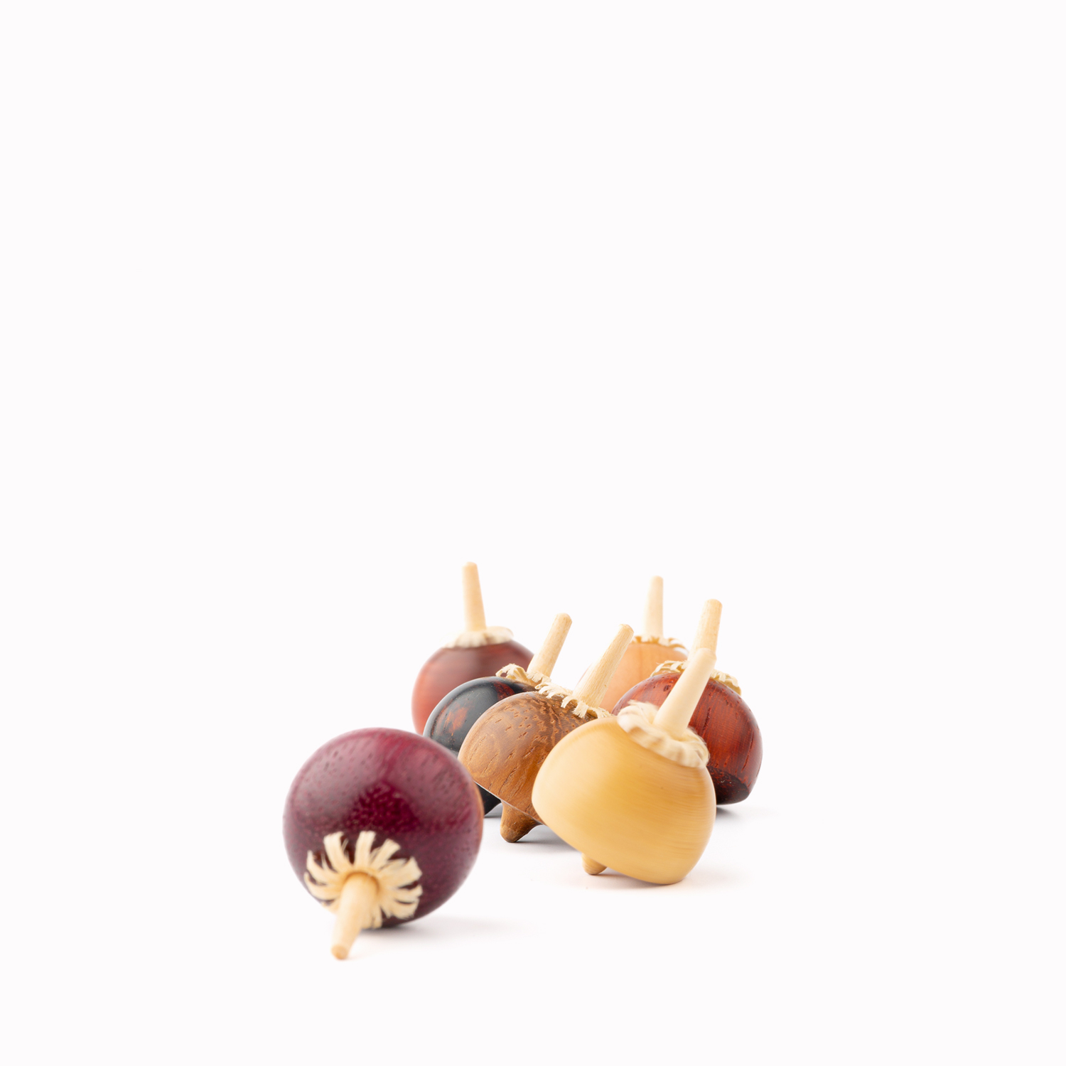 Tutti Frutti - fruchtig-fröhliche Kreiselbeere - 01